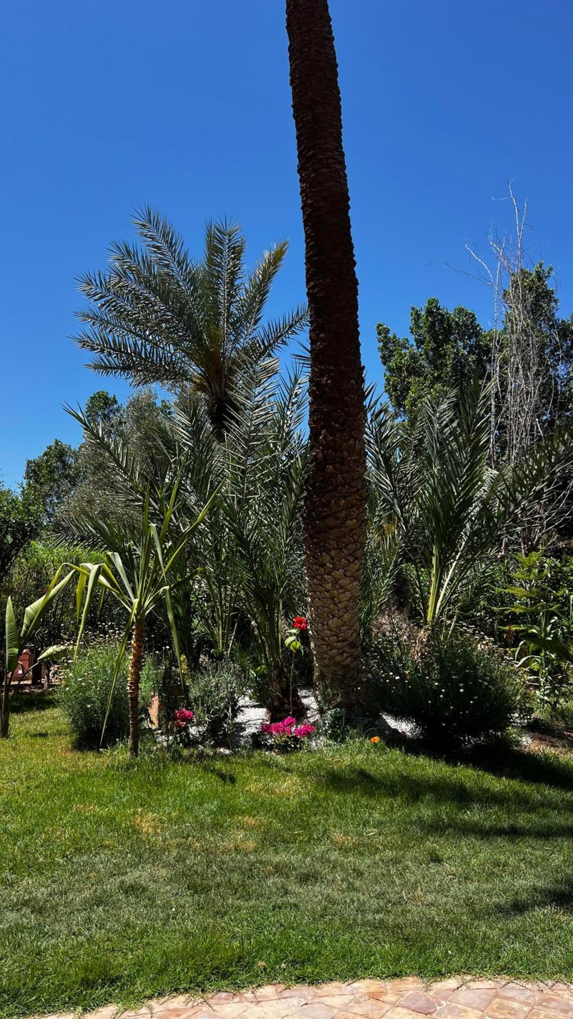 מרקש Tres Joli Appart A La Palmeraie Coup De Coeur מראה חיצוני תמונה
